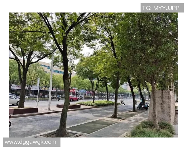 姚明月扬州游记探寻古城韵味与现代魅力的完美交融