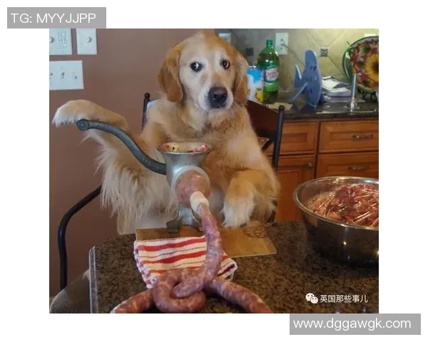 狗狗意外撞脸足球明星引发网络热议网友纷纷模仿搞笑瞬间成热门话题