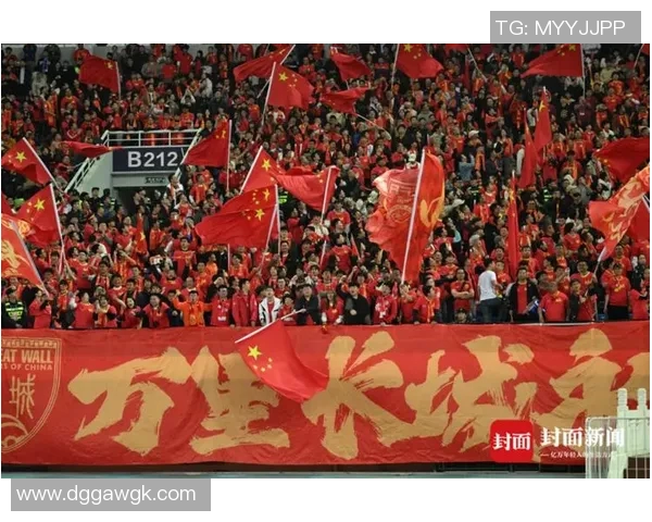 中国队与新加坡精彩对决全场录像回放及精彩瞬间分析